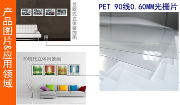 PETդ 3D5D 161 PETդƬ 90LPI 1613DƬ